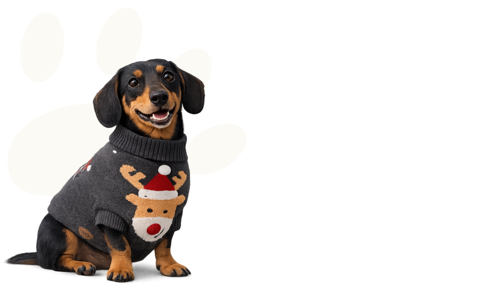 KutyafüleBolt webáruház