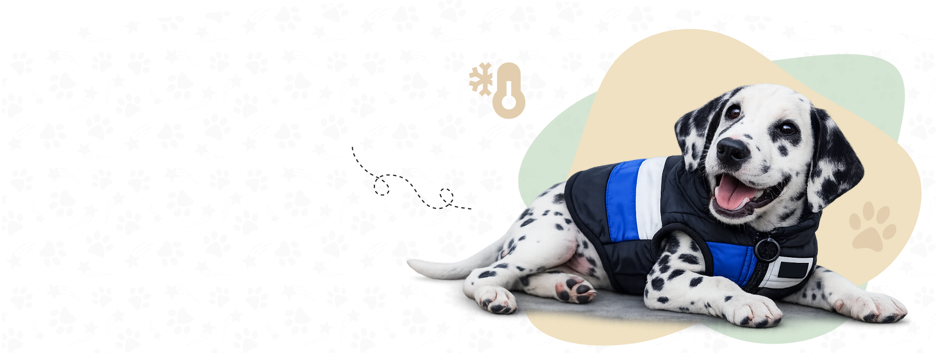 KutyafüleBolt webáruház