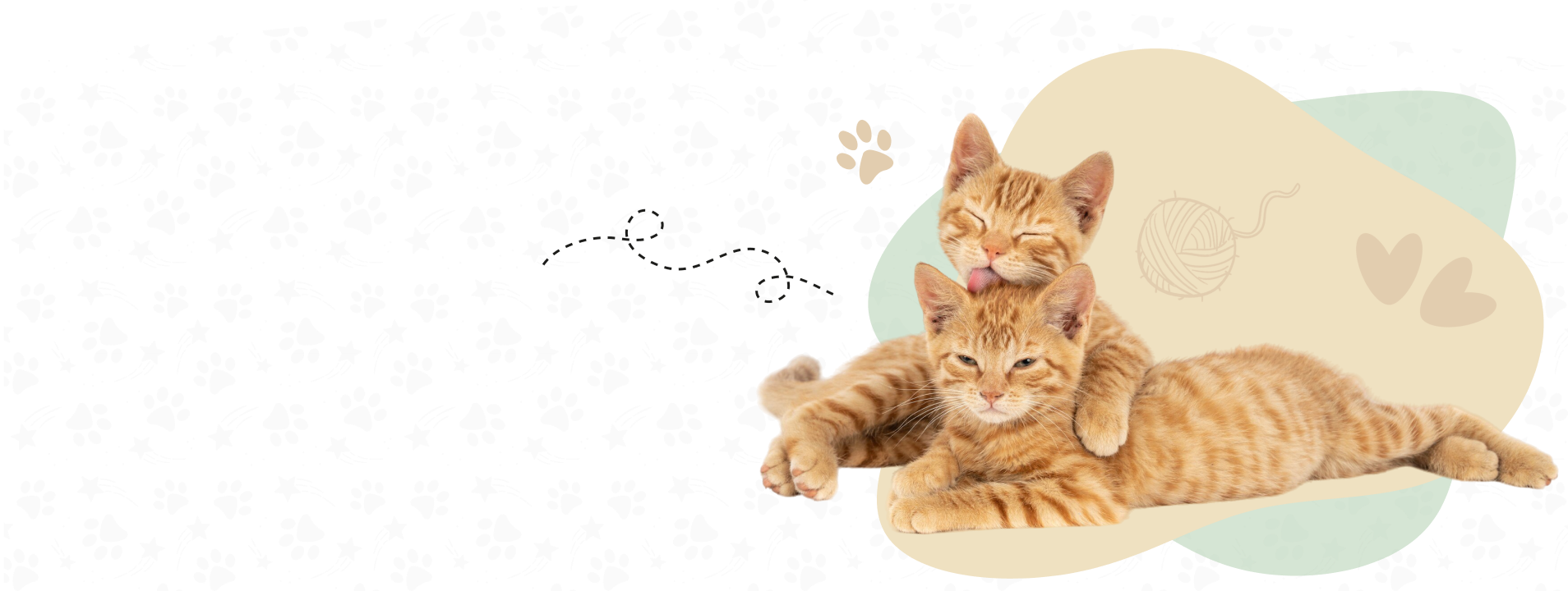 KutyafüleBolt webáruház