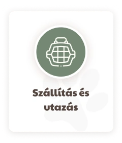 KutyafüleBolt webáruház
