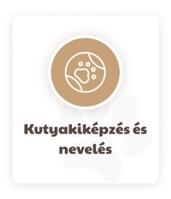 KutyafüleBolt webáruház
