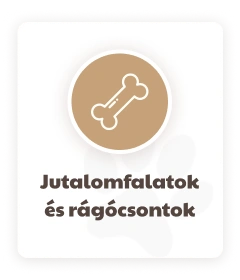 KutyafüleBolt webáruház