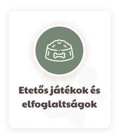 KutyafüleBolt webáruház