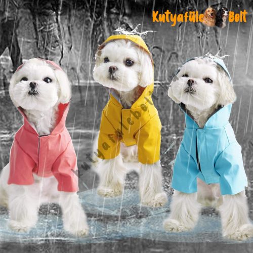 Esőkabát, esőoverál kutyáknak