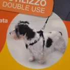 Camon Biztonsági hám 2 in 1, M