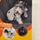 Camon Biztonsági hám 2 in 1, M