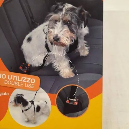 Camon Biztonsági hám 2 in 1, M