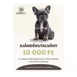 Ajándékutalvány 10.000 Ft - online