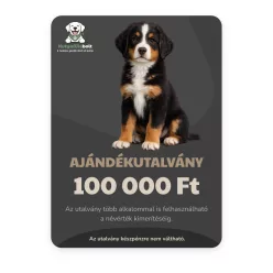Ajándékutalvány 100.000 Ft - online
