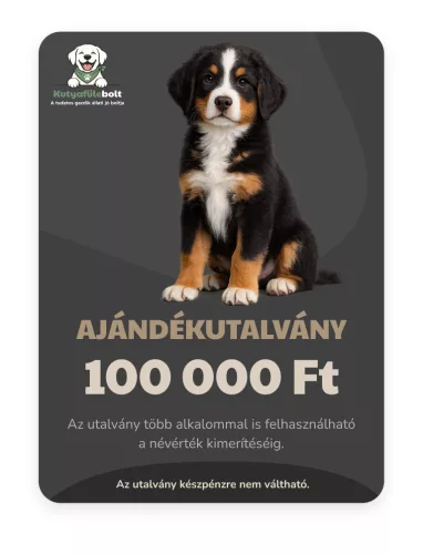 Ajándékutalvány 100.000 Ft - online