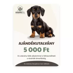 Ajándékutalvány 5.000 Ft - online