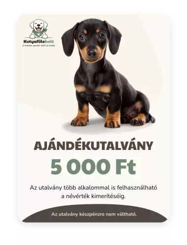 Ajándékutalvány 5.000 Ft - online