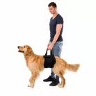 Trixie - Rehabilitációs emelőhám - Sétáltatást segítő kutyahám - fekete - (M) 60–65cm/25kg
