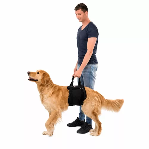 Trixie - Rehabilitációs emelőhám - Sétáltatást segítő kutyahám - fekete - (L-XL) 75–90cm/45kg