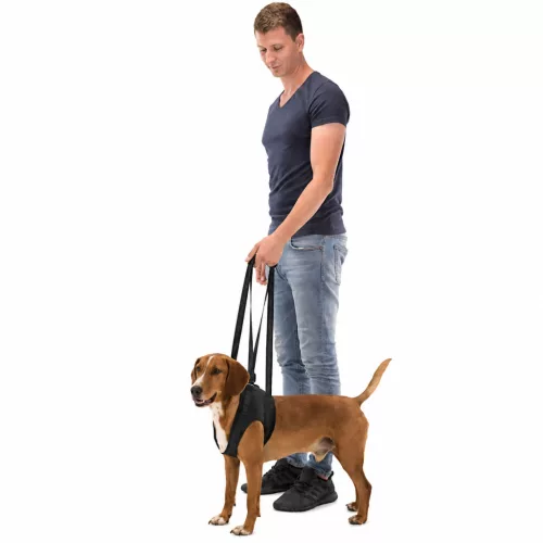 Trixie - Rehabilitációs emelőhám - Sétáltatást segítő kutyahám - fekete - (M) 55–65cm/25kg