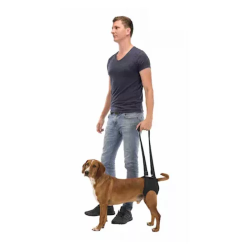 Trixie - Rehabilitációs emelőhám - Sétáltatást segítő kutyahám - fekete - (L-XL) 75–85cm/50kg