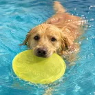 Trixie Dog Disc - TPR frizbi (Ø18cm)