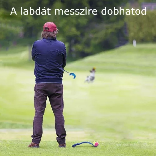 Labdahajító kutyajáték
