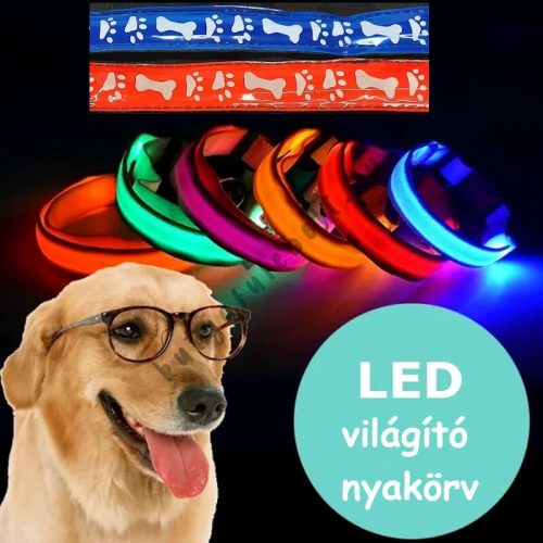 LED világitó kutya nyakörv - L