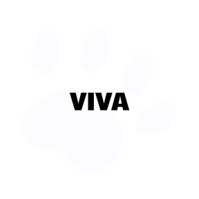 VIVA