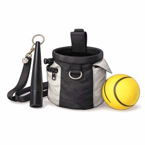 Kiképzés, kutyaiskola