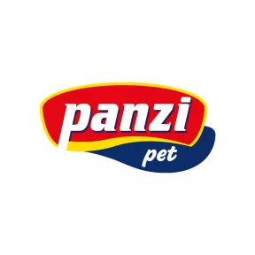 Panzi