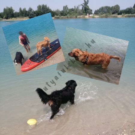 Strandolás kutyával, avagy: így (kutya)strandolunk mi