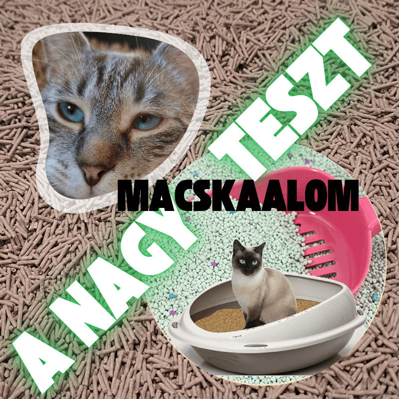 A nagy macskaalom teszt