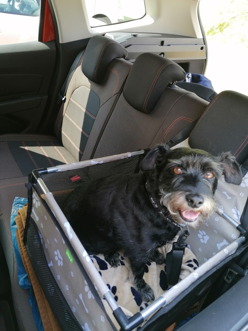 Autós biztonsági kutyaülés - kék tappancs mintás
